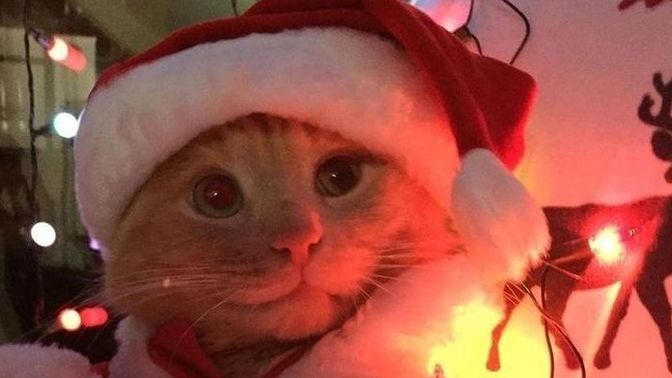 "Noel baba olsam" sana ne hediye ederdim söyleyeyim mi?