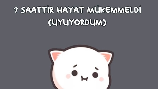 Sizin için günün en mükemmel saatleri ne zaman?