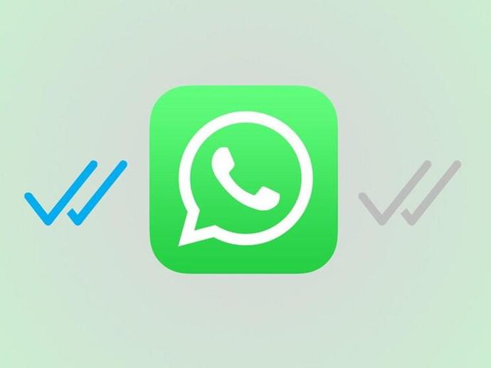 Karşı cinsin mavi tik ve son görüldü açık olması hoşunuza gider mi?