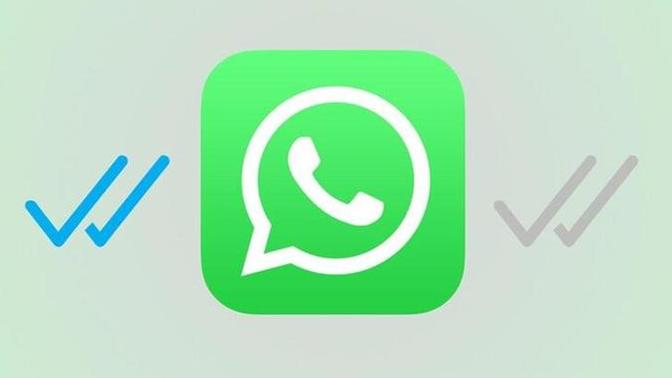 Karşı cinsin mavi tik ve son görüldü açık olması hoşunuza gider mi?