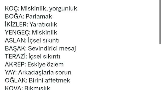 Burcunuza göre bugünkü gündeminizde ne var?