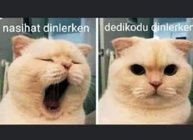 En çok ne ile ilgili dedikodu yapmak hoşunuza gidiyor?