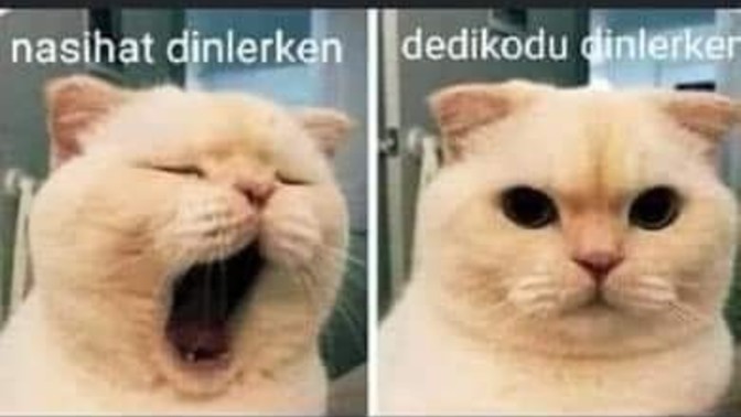 En çok ne ile ilgili dedikodu yapmak hoşunuza gidiyor?