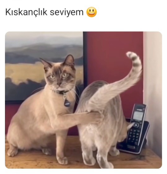 Kıskanç biri misiniz 😃?