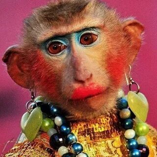 Makyaja da ehliyet versinler, sürmesini bilmeyen sürmesin dimi?