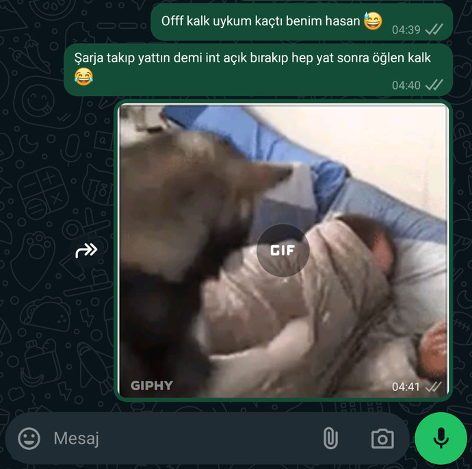 O kadar seslendim kalkma dı 🙄😂