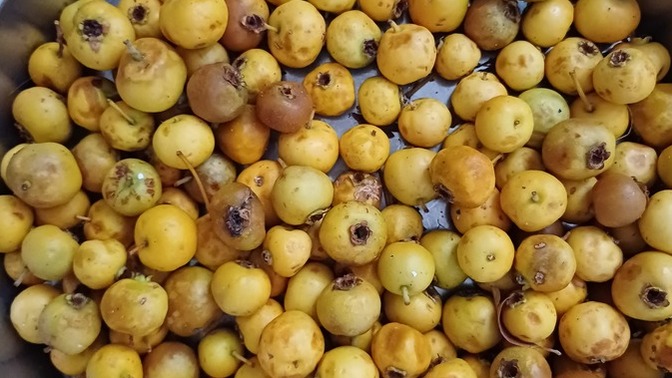 Bunu daha önce yemiş olan var mı?