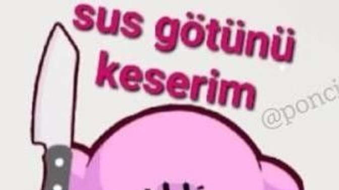 Sevgilim bunu gönderdi ne demek istiyor?