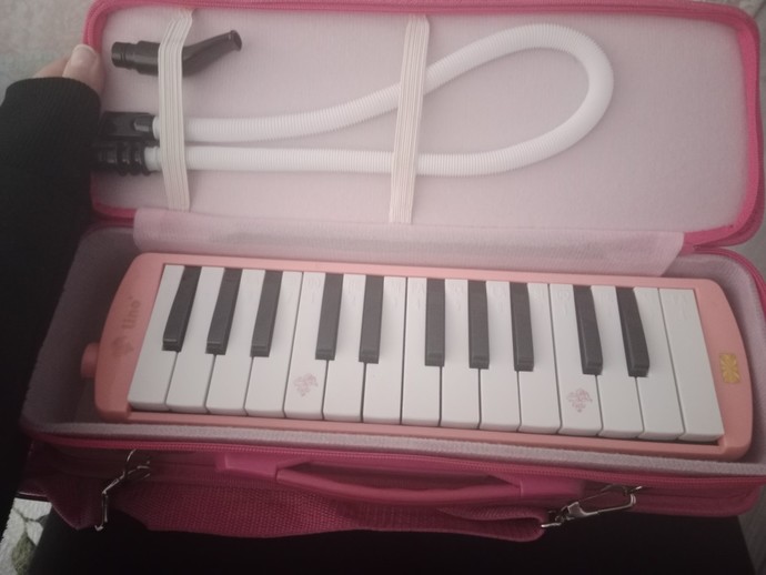 Hangi müzik aletlerini çalabiliyorsunuz?