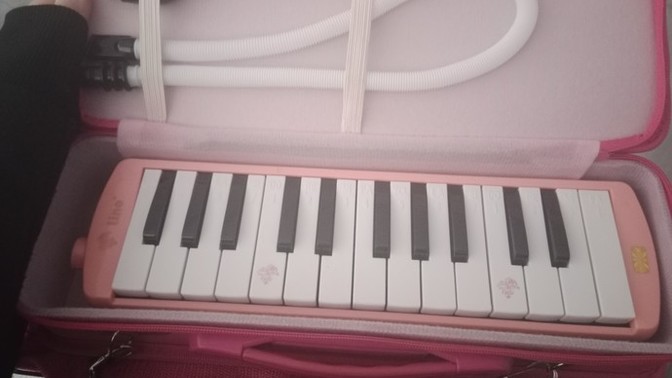 Hangi müzik aletlerini çalabiliyorsunuz?
