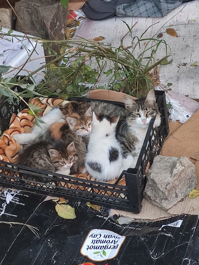 En son neyin fotoğrafını çektiniz?