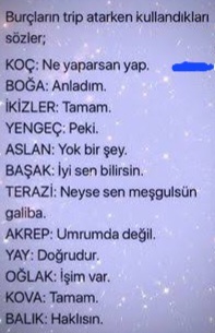 Burçlar nasıl trip atar 🙄?
