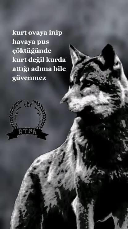 Senin içinde hangi hayvan yatıyor🐺?