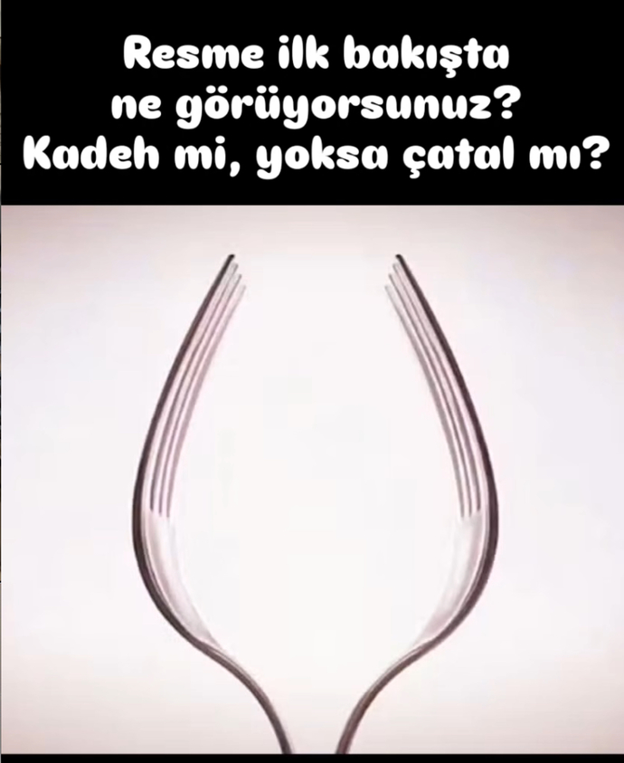 İlk ne gördünüz görselde?