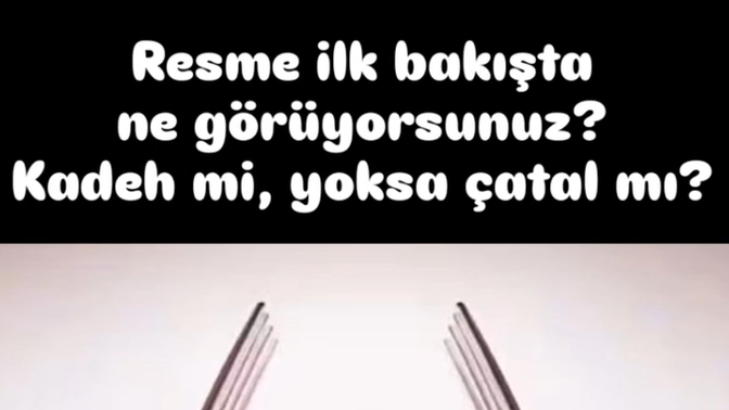 İlk ne gördünüz görselde?