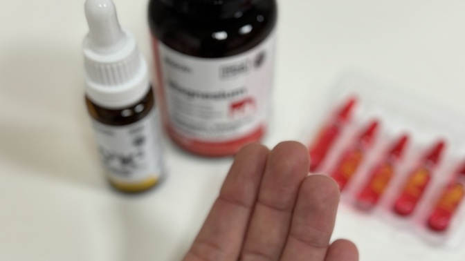 Düzenli olarak kullandığınız vitamin/mineral takviyeleri var mı?