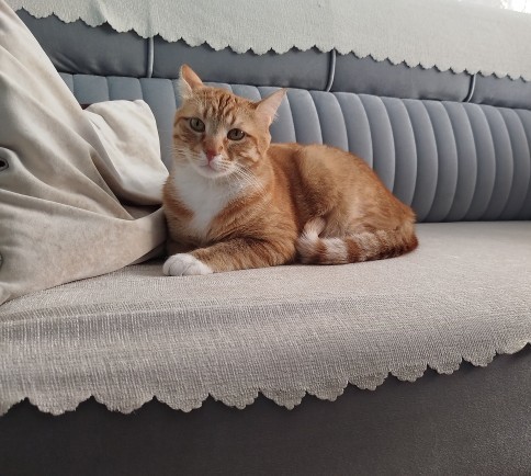 Nasılım diye sordu yorumlar mısınız?