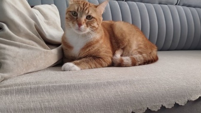 Nasılım diye sordu yorumlar mısınız?