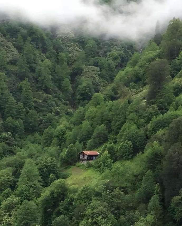 Bu evde yaşamak isteyen siz olabilir misiniz?