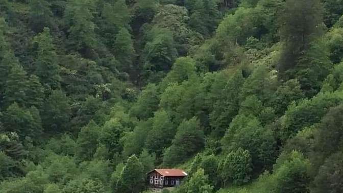 Bu evde yaşamak isteyen siz olabilir misiniz?