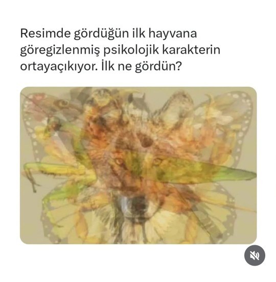 Gözüne çarpan ilk hayvan neydi?