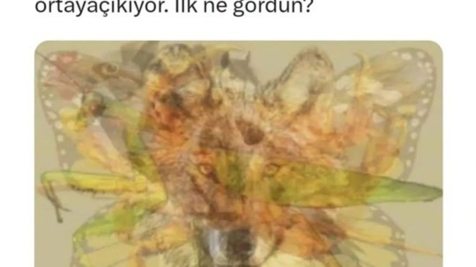 Gözüne çarpan ilk hayvan neydi?