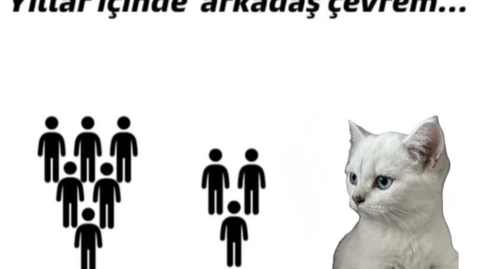Yıllar içinde arkadaş çevrende bir değişiklik oldu mu? Azaldı mı? Arttı mı?
