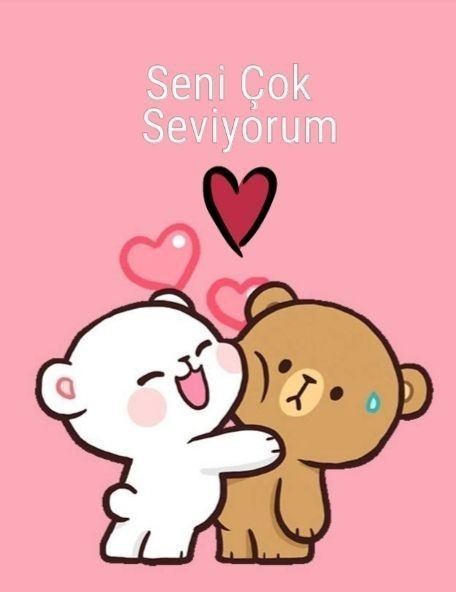 Diyelim ki sevgiliniz dışardan söylediğiniz bir yemek olsa ve yanlış sipariş gelse yer miydiniz yoksa değiştirir miydiniz?