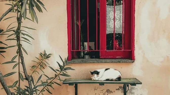 Hevesimin kendini bir koltuğa savurup derin bir uykuya geçişini hissediyorum. Uyandırmak mümkün mü?