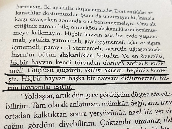 Eşitliği ne derece savunursunuz?