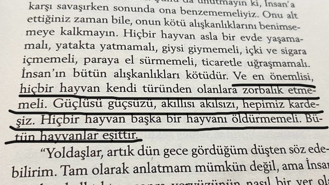 Eşitliği ne derece savunursunuz?