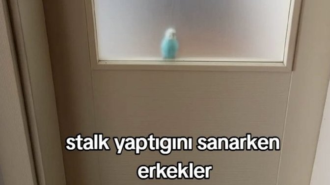 Erkekler stalk yapabiliyor mu?