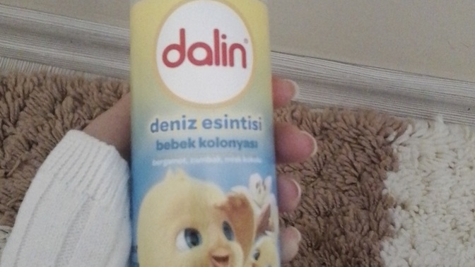 Dalin kolonyası sever misiniz?