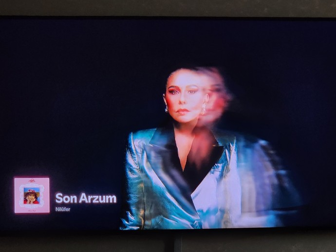 Müzik dinlemeyi seviyor musunuz?