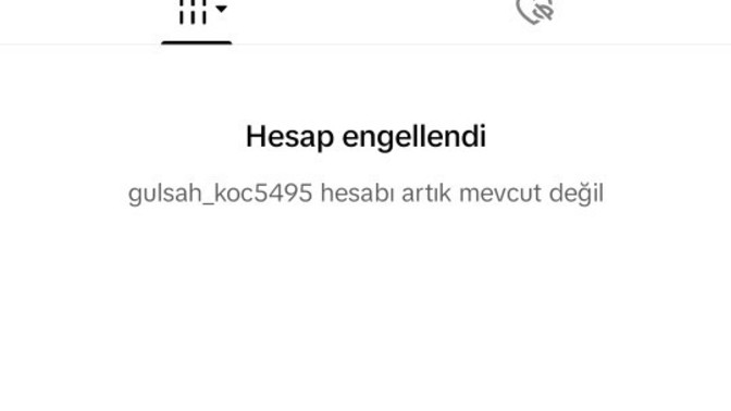 Tiktoktan anlayan varsa yardımcı olsun lütfen?