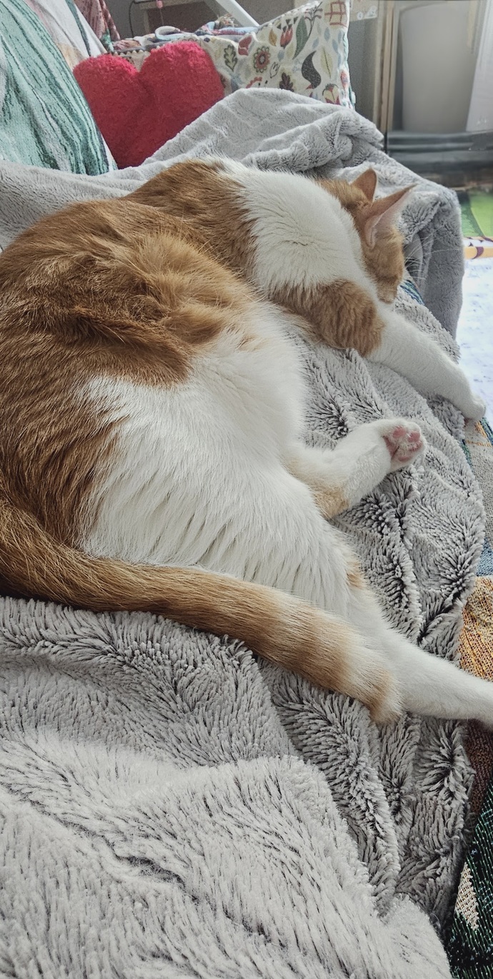 Böyle ponçik bir uyuyuş gördünüz mü yaaa 😇🥰?
