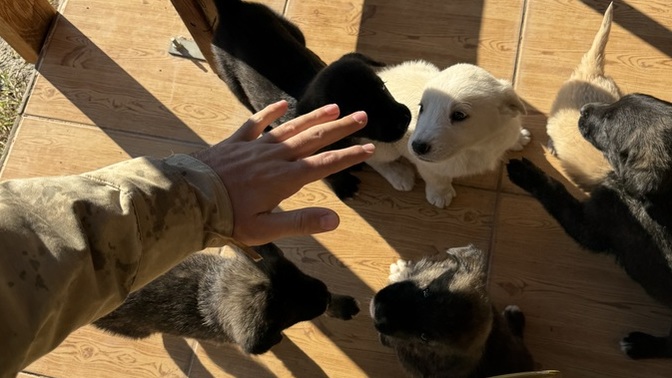 Günaydın güne nasıl başladınız. ?