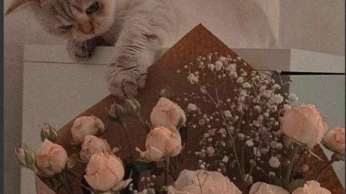 Kendinizi en son ne zaman huzur dolu hissetdiniz?