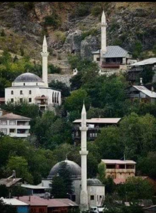 605 kişinin yaşadığı köylere 3 adet cami yaptırılmış neden?