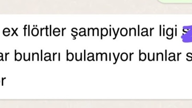 Flörtleştiğiniz kişiler yakışıklı/güzel mı yoksa ortalama tipler mi?
