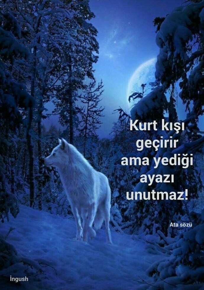 Yediğiniz neyi unutmazsınız?