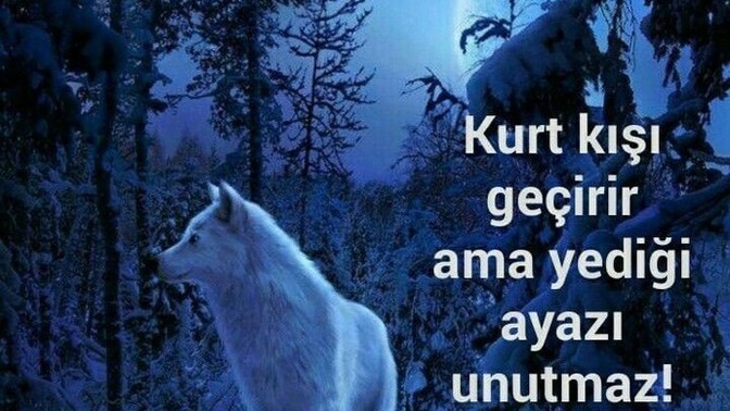 Yediğiniz neyi unutmazsınız?