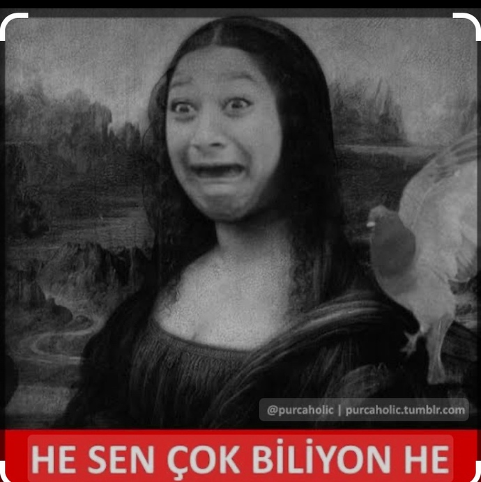 Bilmişlik yapıpta hiçbir şey bilmeyenlere tepkiniz oluyor mu?