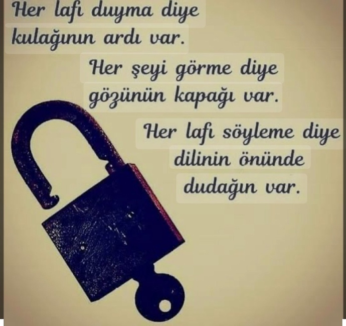Bilmişlik yapıpta hiçbir şey bilmeyenlere tepkiniz oluyor mu?