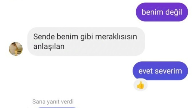 Bu Mesajı Nasıl Devam Ettiririm?