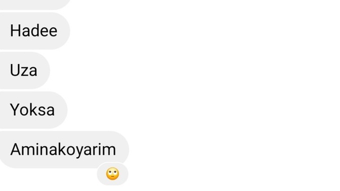 Takıntım var insanca ayrılmadı küfürler saygısızlık çok etti? insanca hatani anla diyoruz neden böyle konuşuyor?