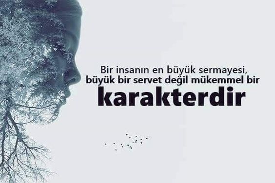 Evleneceğin insanın parasına mi karakterine mi daha çok dikkat edersin?