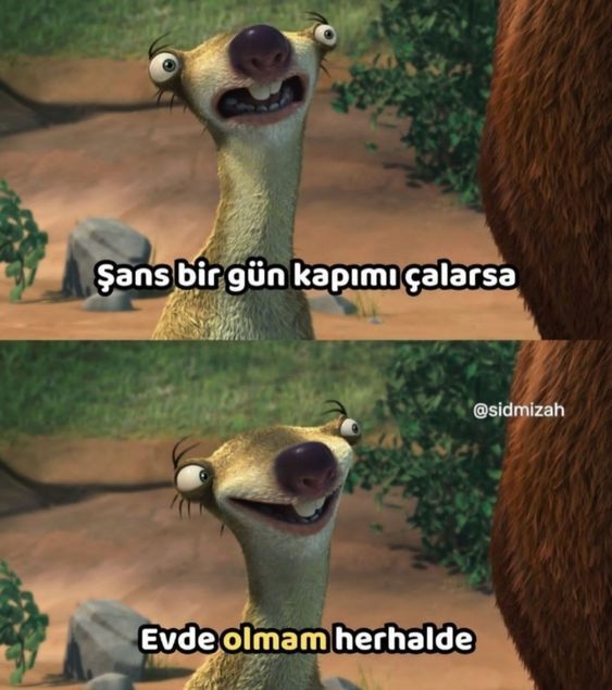 Şanslı biri olduğunuzu düşünüyor musunuz?