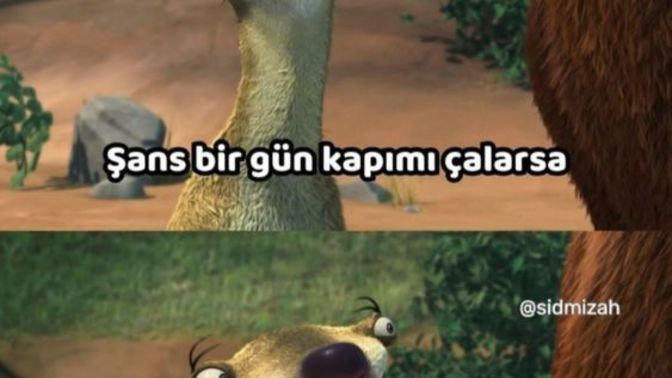 Şanslı biri olduğunuzu düşünüyor musunuz?