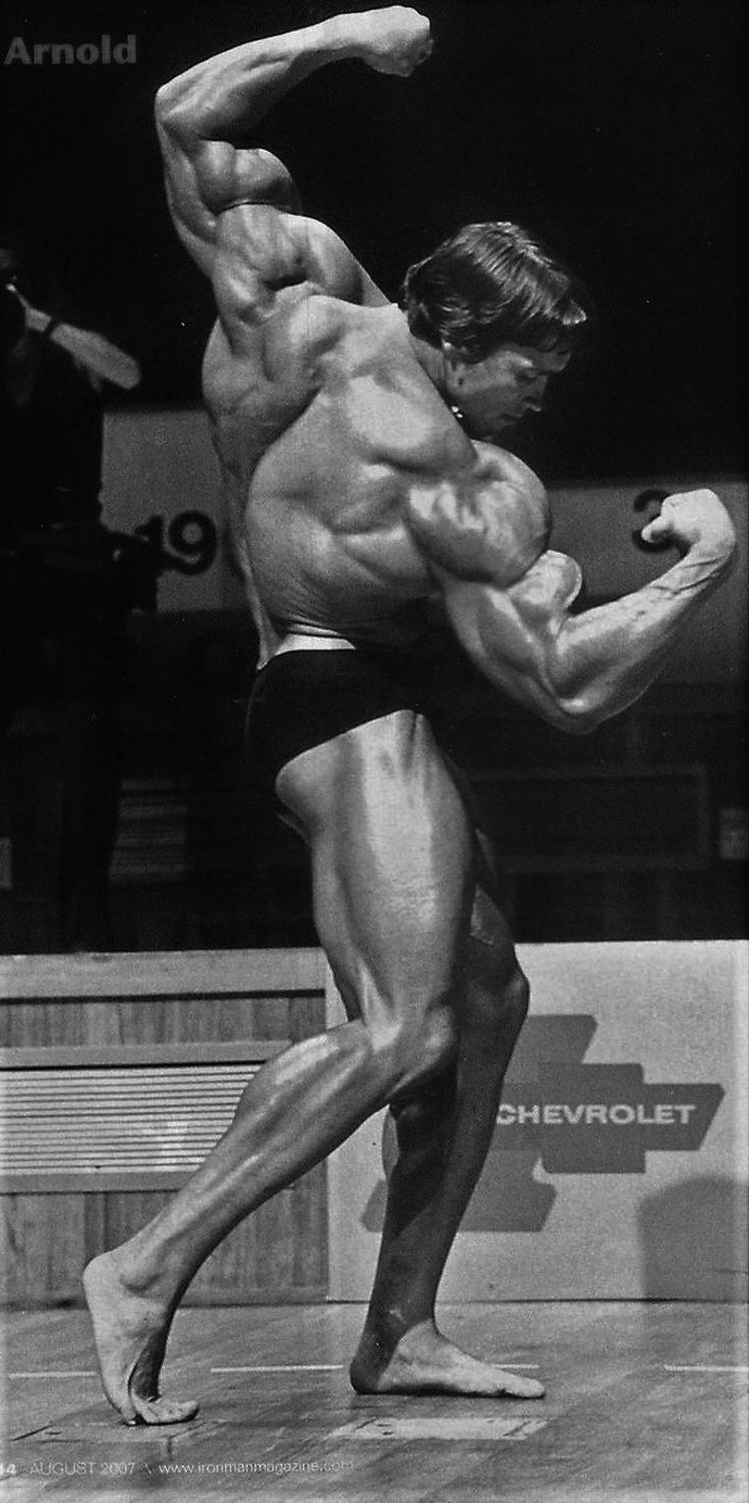 Arnold Press işe yaramaz bi hareket mi?